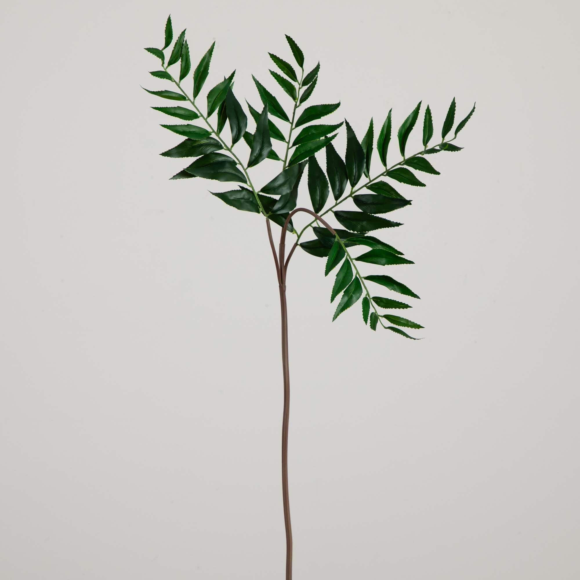38" Green Palmate Fern Stems, 3ct.